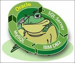 Toad For Oracle Crack 16.1.53.1594 + Torrent Download [Latest]